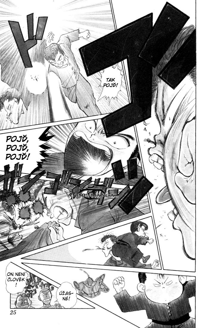 YYH v01 c001 025 kopie.jpg